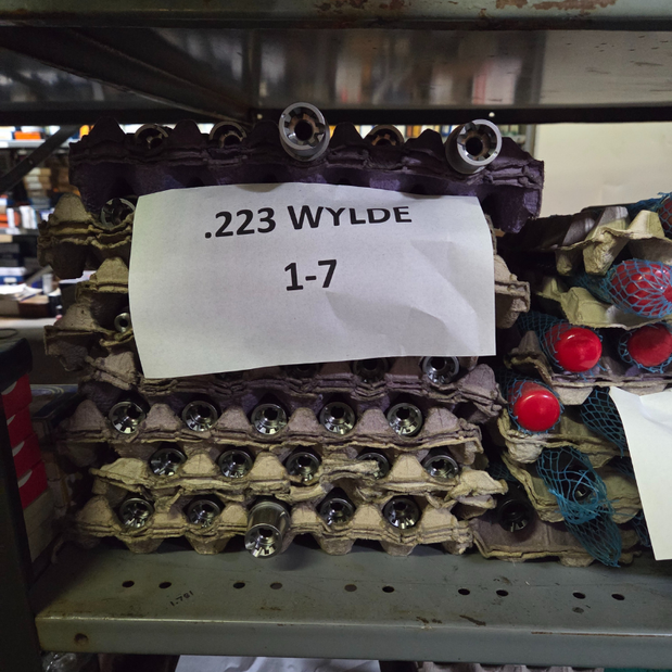 FULL RIFLE BUILDS (19)